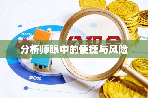南京分析师眼中的便捷与风险