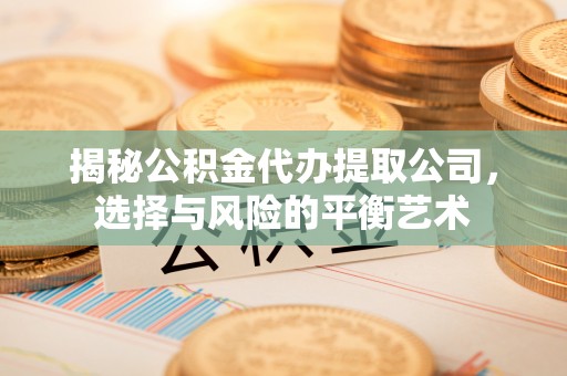 丽水揭秘公积金代办提取公司，选择与风险的平衡艺术