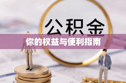 榆林你的权益与便利指南