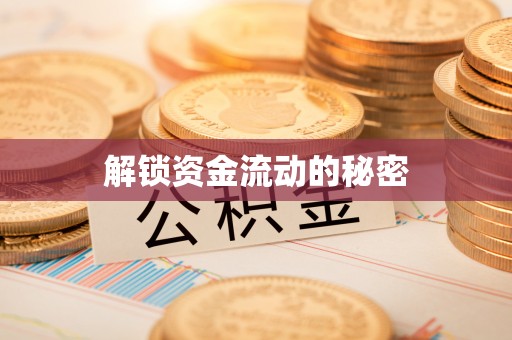 山东解锁资金流动的秘密