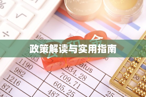 驻马店政策解读与实用指南