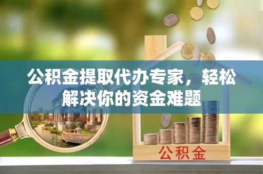 驻马店公积金提取代办专家，轻松解决你的资金难题