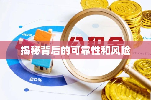 荆州揭秘背后的可靠性和风险