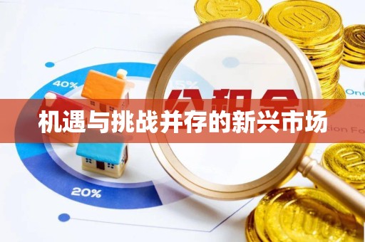 德阳机遇与挑战并存的新兴市场