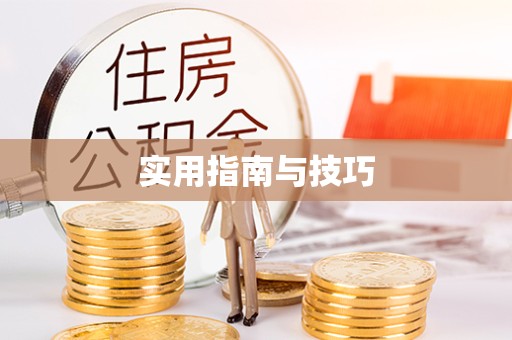 直宾实用指南与技巧