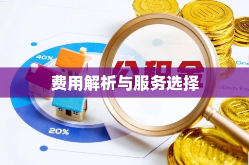 直宾费用解析与服务选择