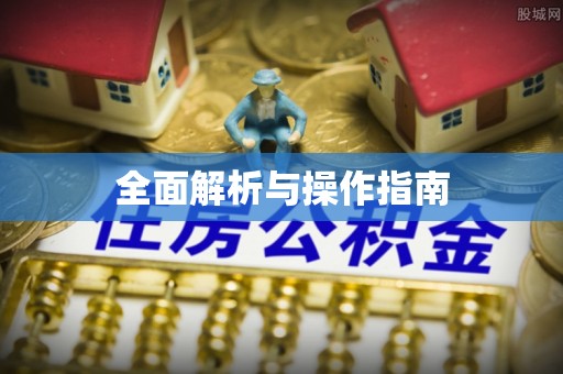 拉萨全面解析与操作指南