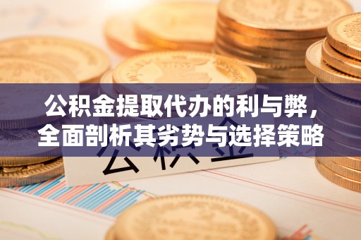 丽水公积金提取代办的利与弊，全面剖析其劣势与选择策略
